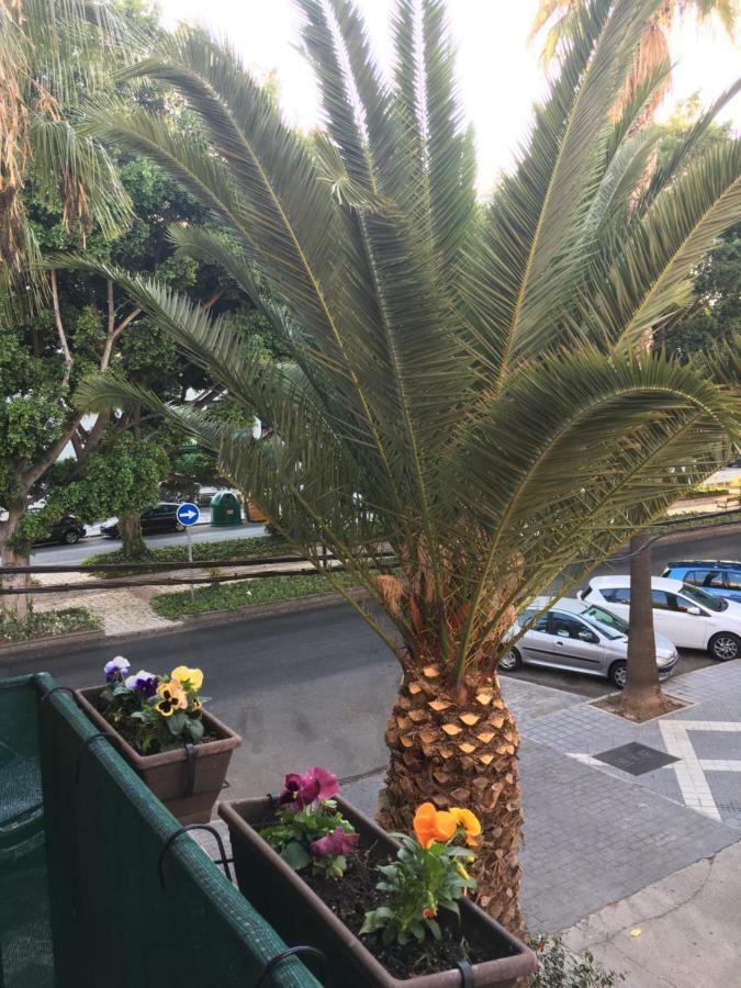 New Apartment & Parking Alcazaba Malaga Exterior photo